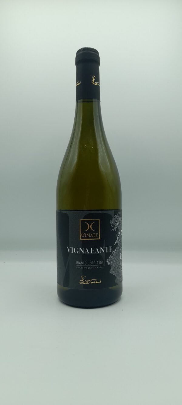 le cimate-vignafante umbria igt 2024